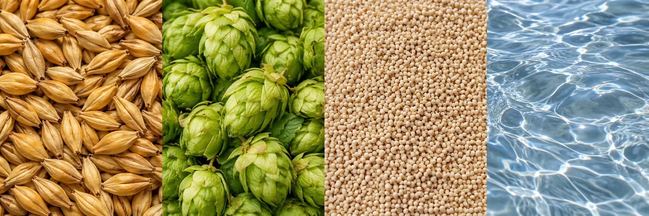 Malz, Hopfen, Hefe und Wasser als illustrative Detailmotive